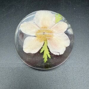 Vintage Resin Paperweight With Pressed Alaskan Wild‎ Rose Inclusion
